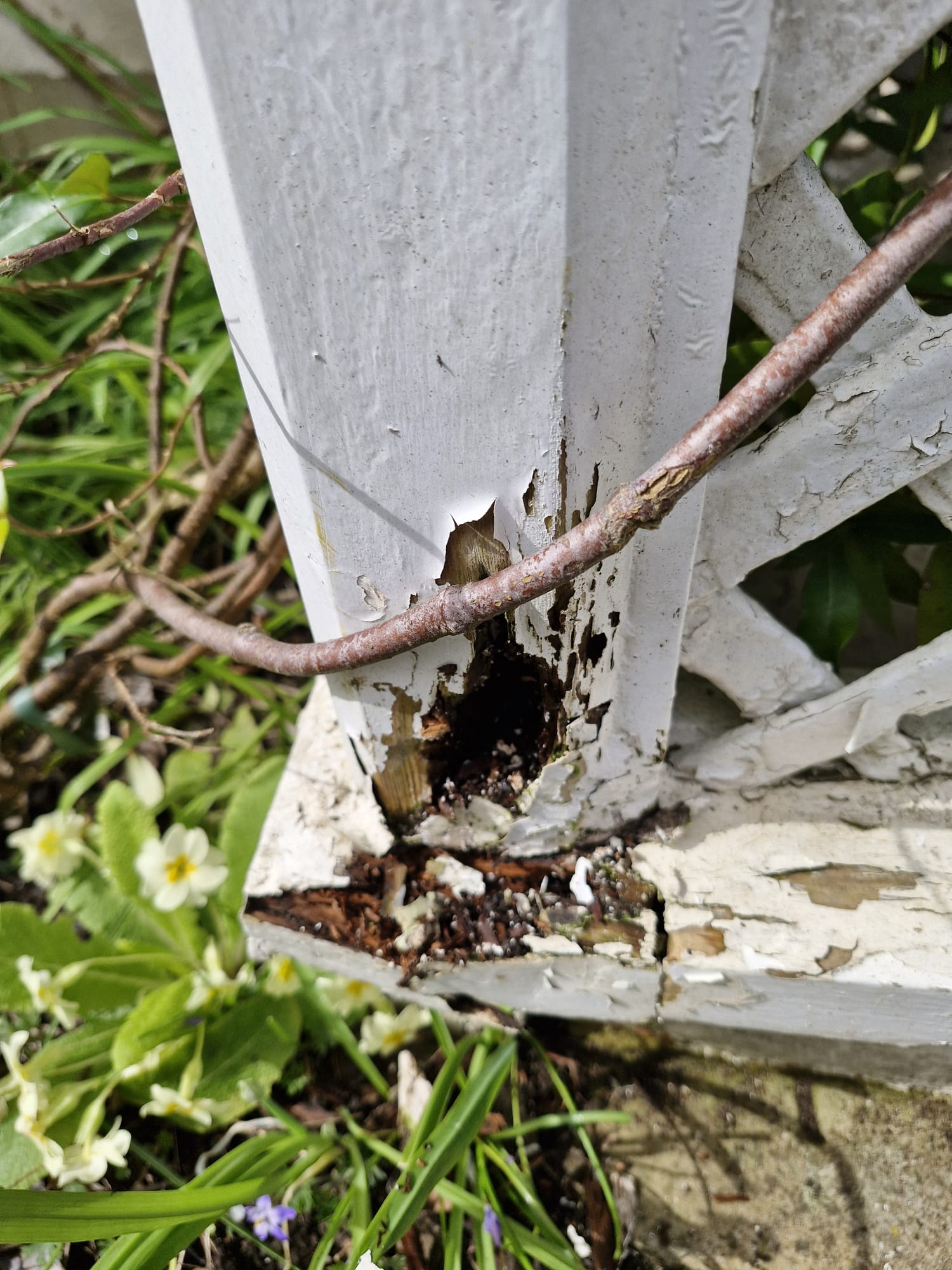 Hollowed Trellis Post