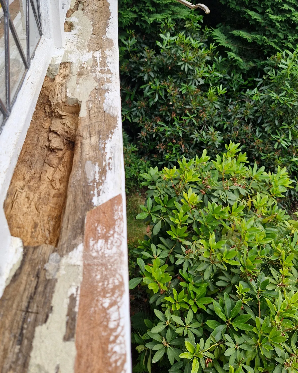 Excavated Sill Rot